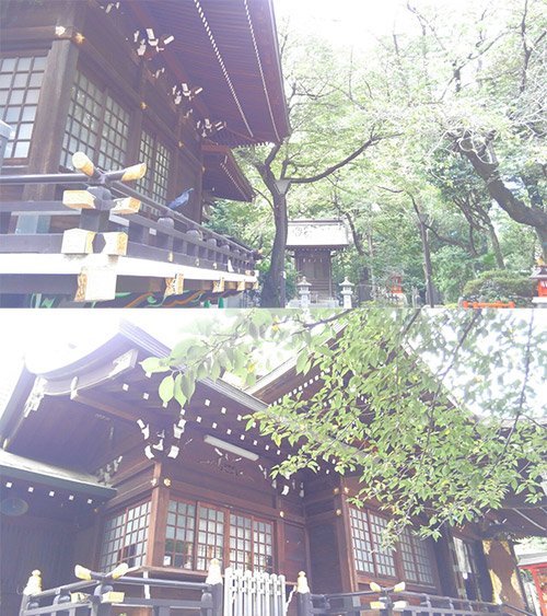 占い師瀧山　歩のお気に入り写真1